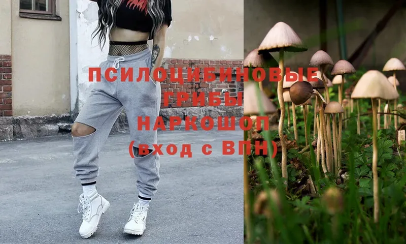 Галлюциногенные грибы MAGIC MUSHROOMS  Вилючинск 